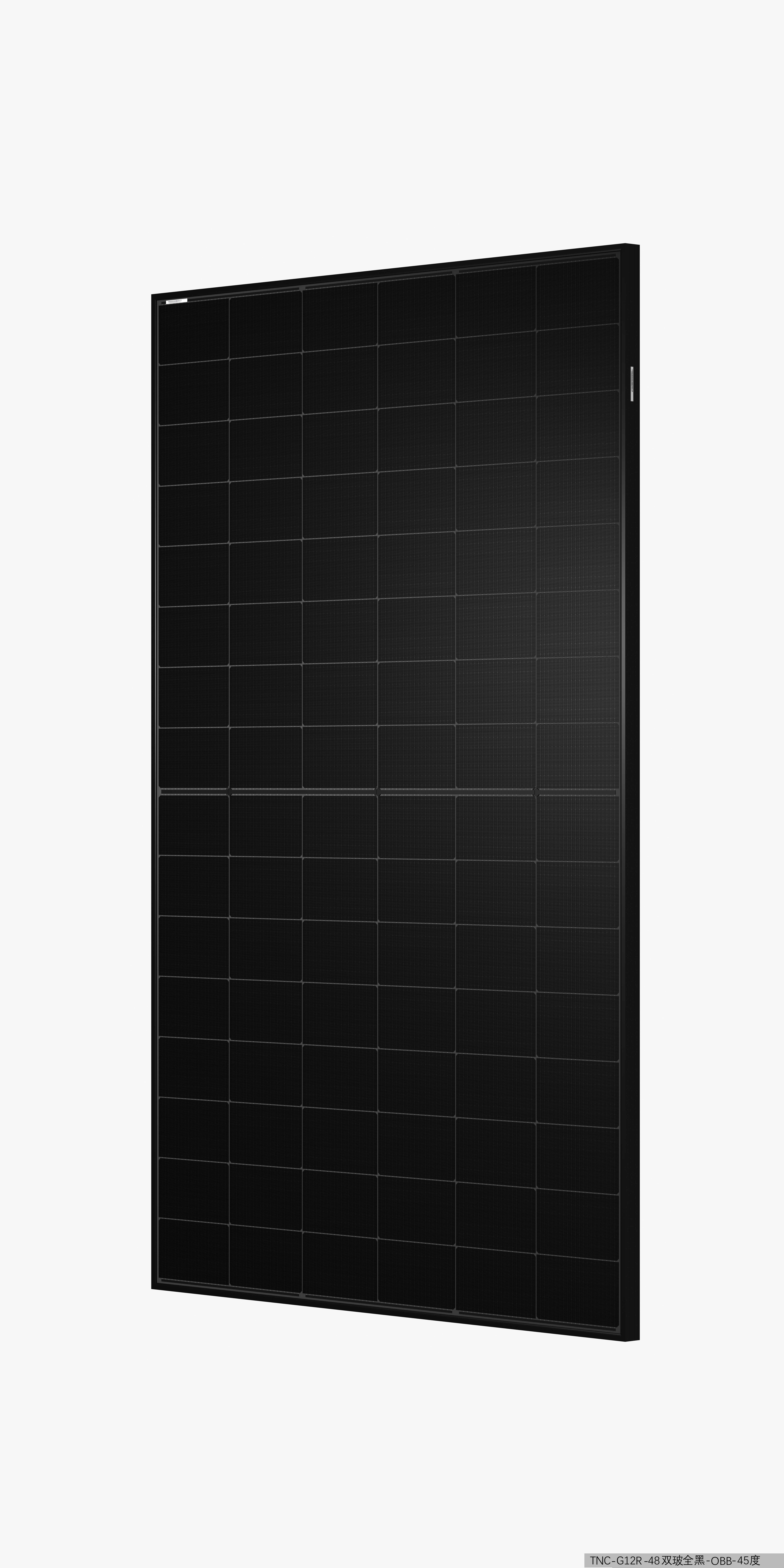 TW Solar dubbelglas TWMNH-48HE 460W