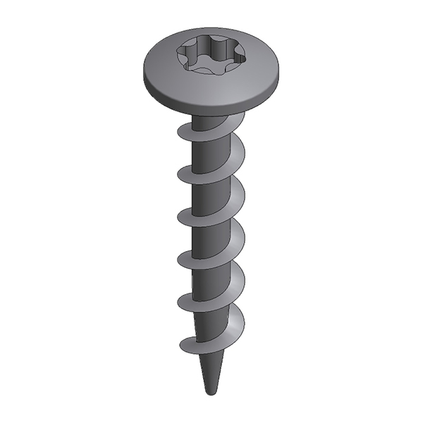 Valk RVS torx schroef 5,5x38 mm
